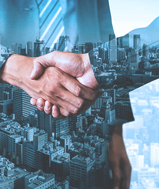 ��������ľ��